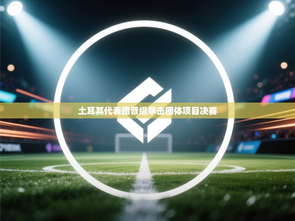 开云体育app登录入口-土耳其代表团晋级拳击团体项目决赛  第3张