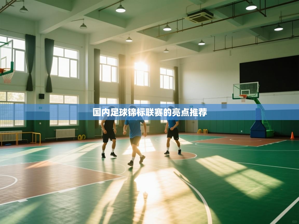 开云体育app在线-国内足球锦标联赛的亮点推荐  第1张