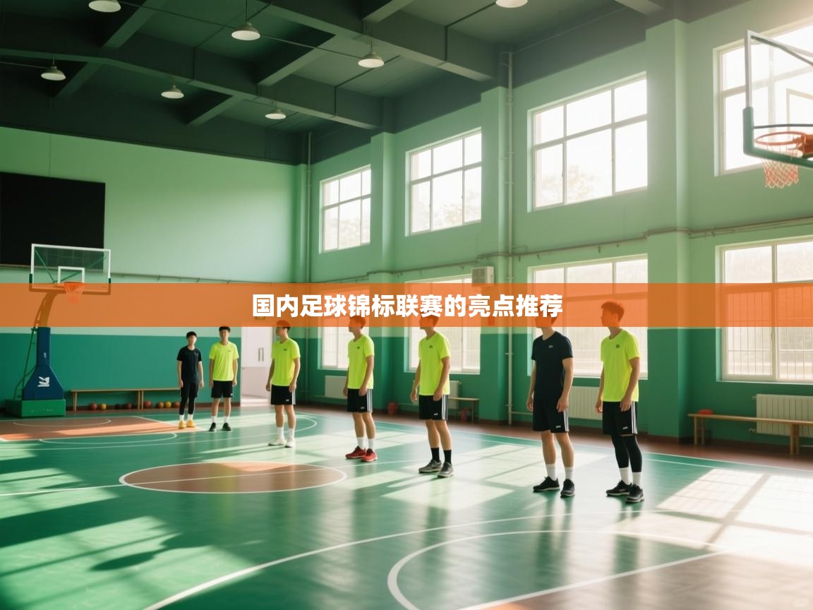 开云体育app在线-国内足球锦标联赛的亮点推荐  第2张