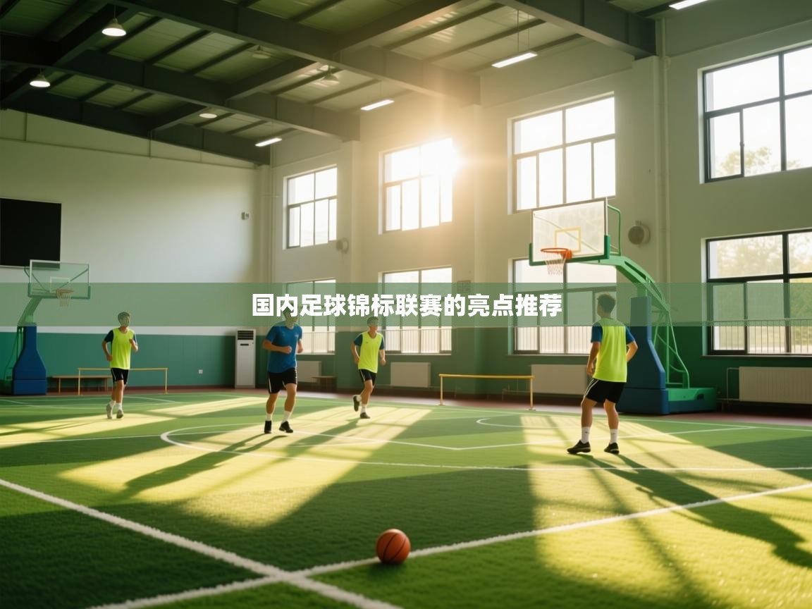 开云体育app在线-国内足球锦标联赛的亮点推荐  第3张
